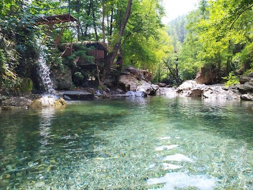 Yorum fotoğrafı 5