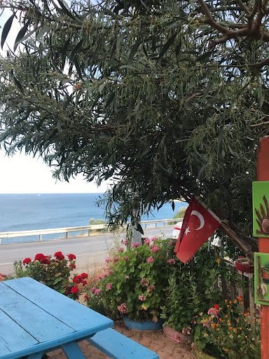 Yorum fotoğrafı 6