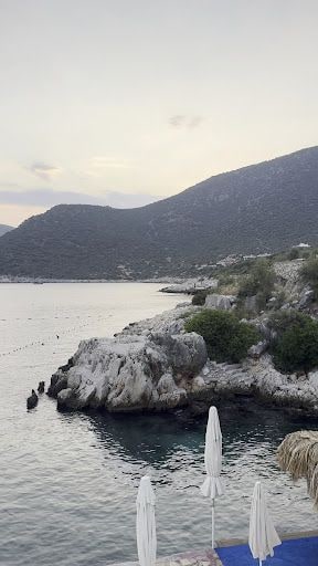 Yorum fotoğrafı 9