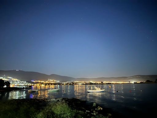 Fotoğraf 14