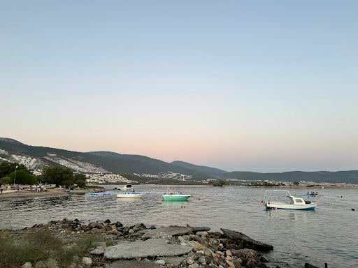 Fotoğraf 16