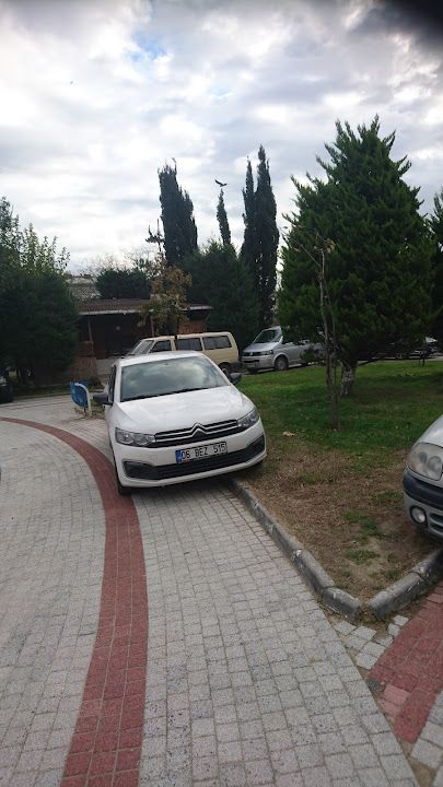 Yorum fotoğrafı 2