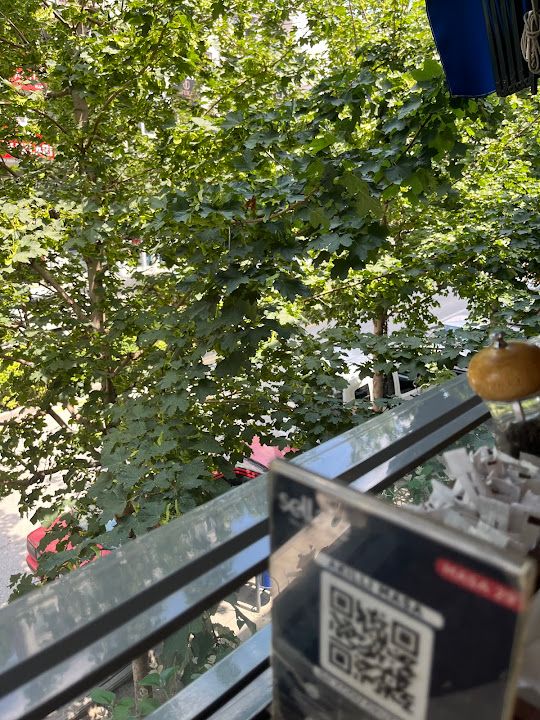 Yorum fotoğrafı 4