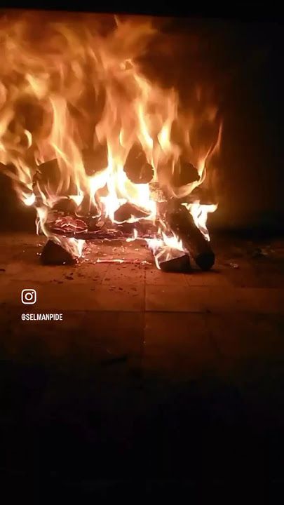 Fotoğraf 14