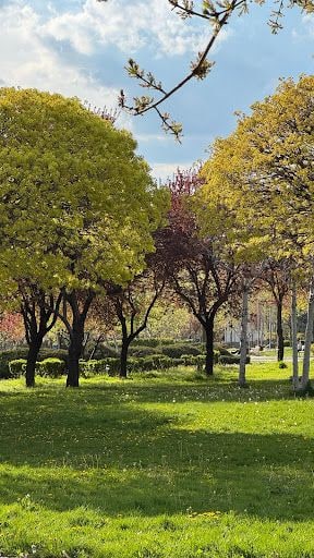 Yorum fotoğrafı 6