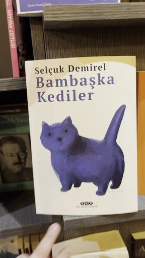 Yorum fotoğrafı 9