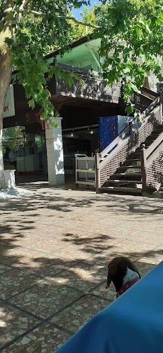 Yorum fotoğrafı 3