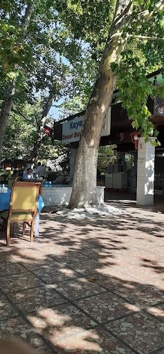 Yorum fotoğrafı 4