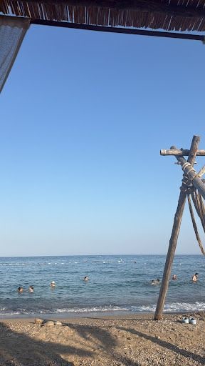 Yorum fotoğrafı 6