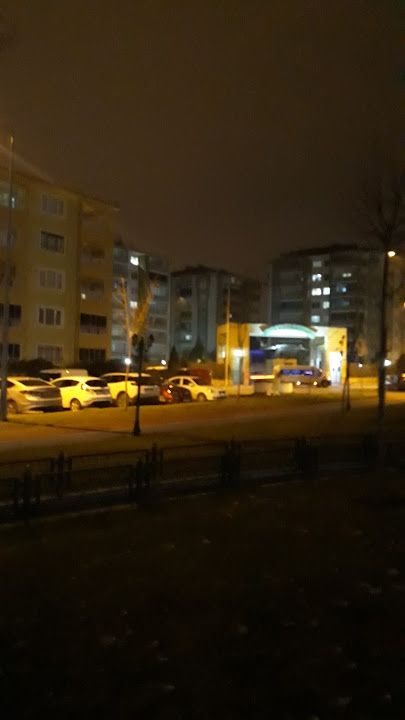Fotoğraf 10