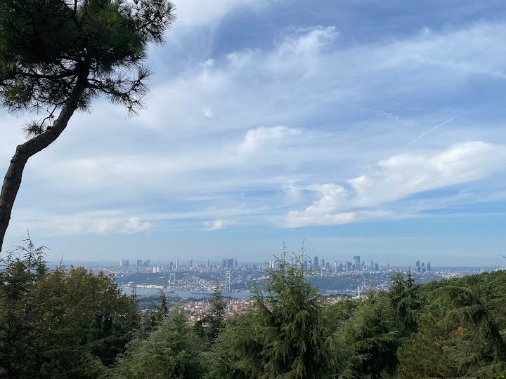 Fotoğraf 46