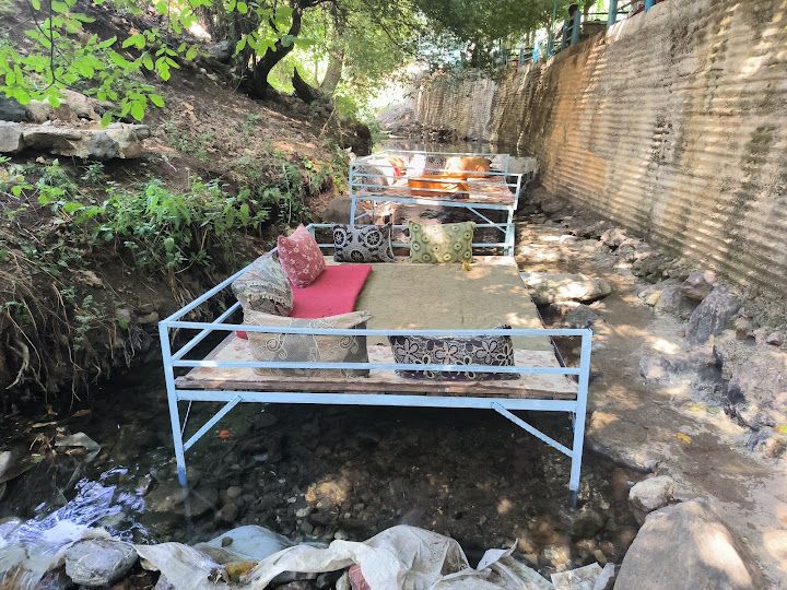 Nehri Masi Alabalik Tesisleri
