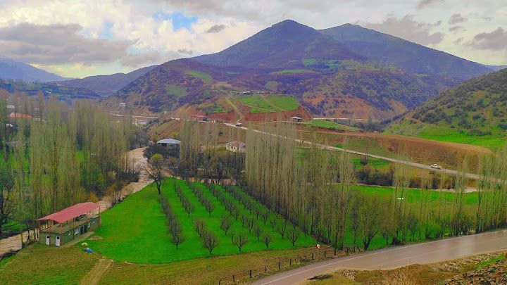Şemdinli Ters Lale Sosyal Tesisleri ( Kır Bahçesi - Piknik Alanı - Kafeterya )