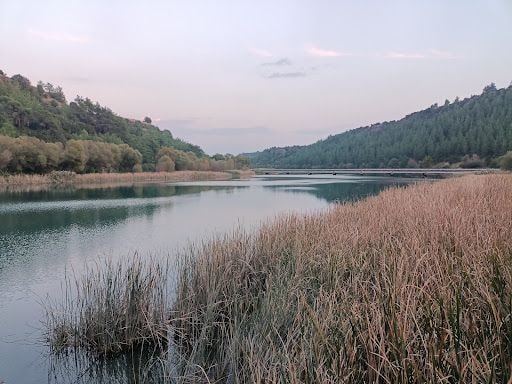 Yorum fotoğrafı 10
