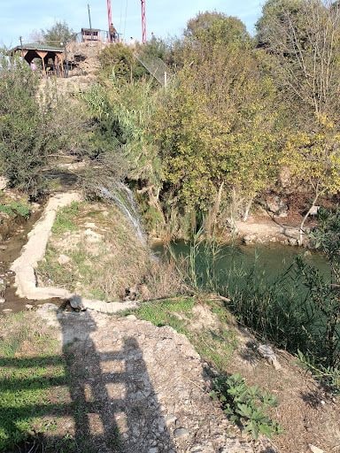 Yorum fotoğrafı 7