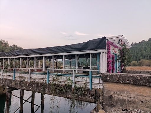 Yorum fotoğrafı 8