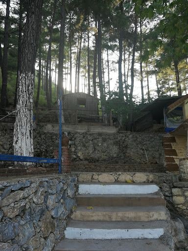 Yorum fotoğrafı 5