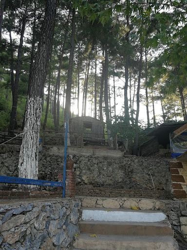 Yorum fotoğrafı 9