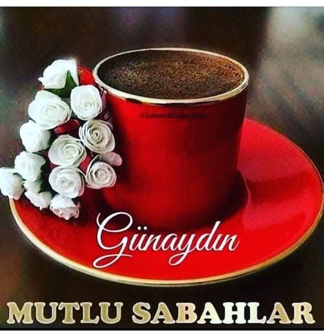 Fotoğraf 29