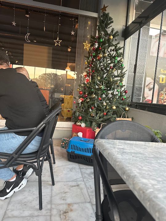 Yorum fotoğrafı 1