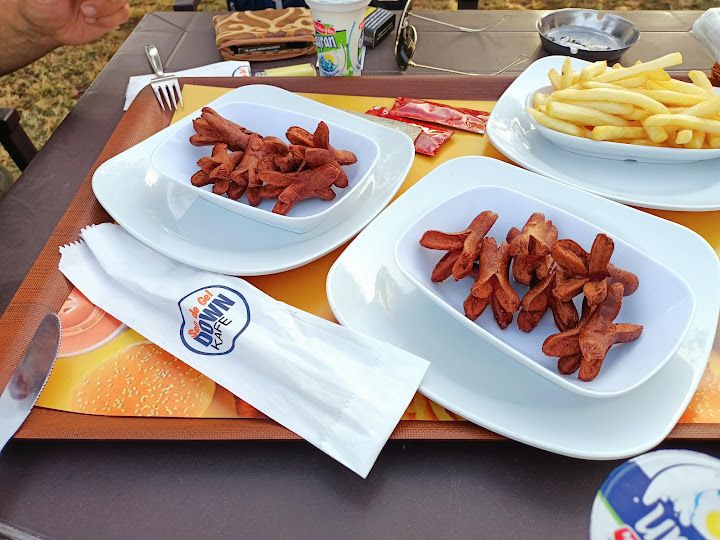 Fotoğraf 17