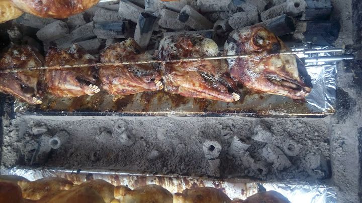 Fotoğraf 15