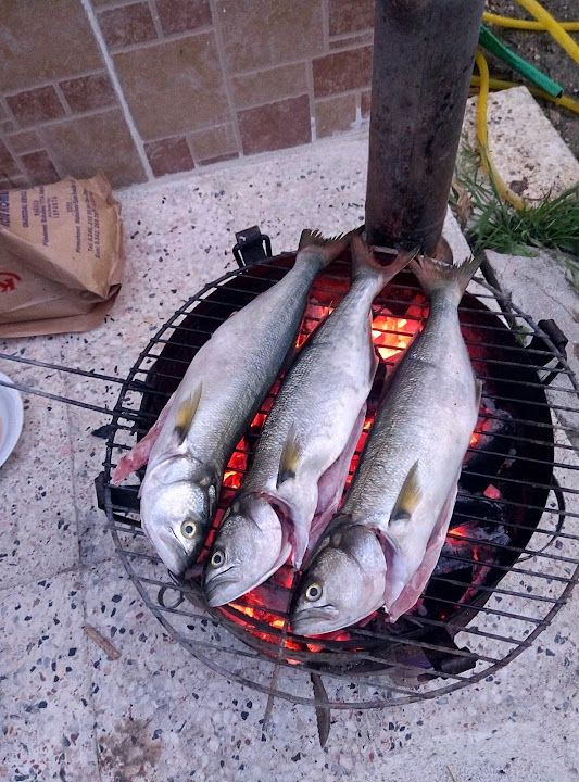 Fotoğraf 22