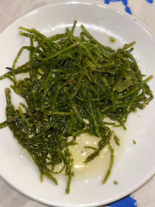Fotoğraf 13