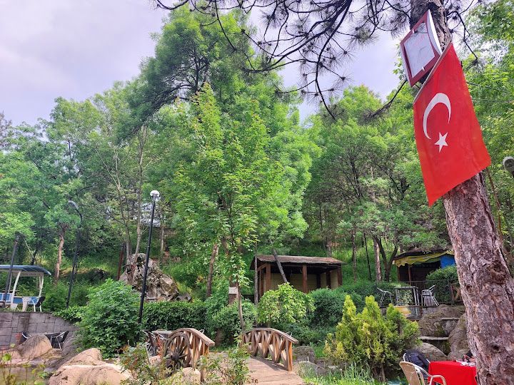Yorum fotoğrafı 4