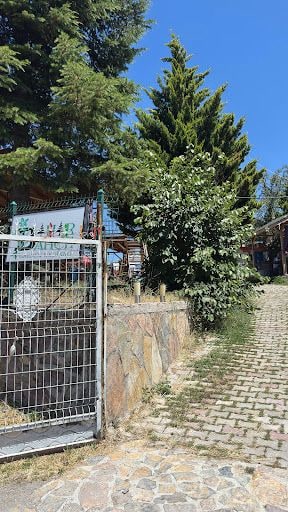 Yorum fotoğrafı 6