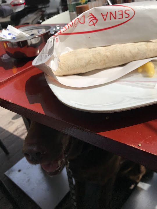 Fotoğraf 14