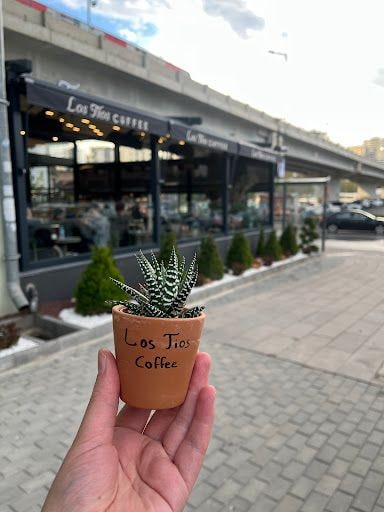 Yorum fotoğrafı 10