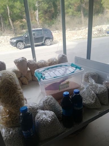 Fotoğraf 11