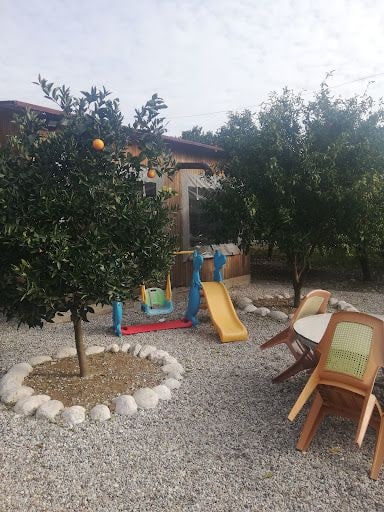 Fotoğraf 13
