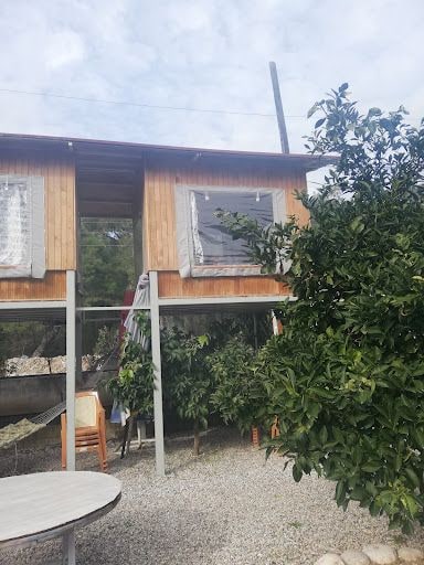 Fotoğraf 14