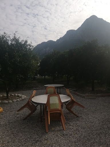 Fotoğraf 16