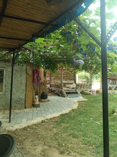 Fotoğraf 14