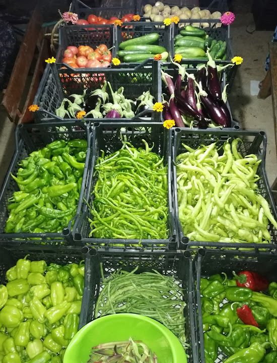 Fotoğraf 13