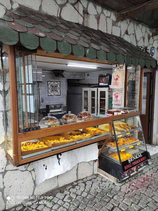 Fotoğraf 20