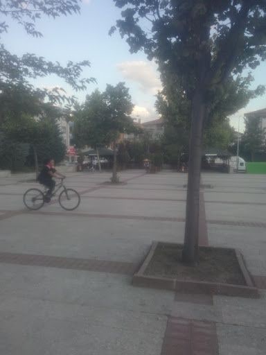 Yorum fotoğrafı 3