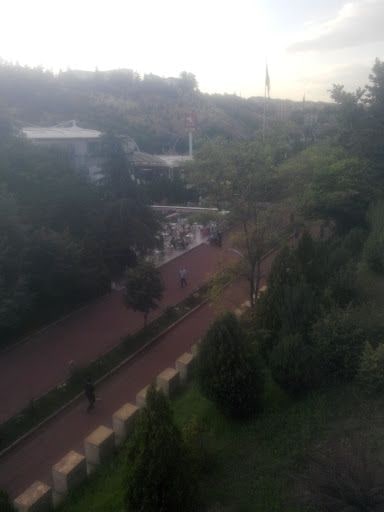Yorum fotoğrafı 5
