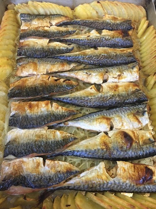 Fotoğraf 31