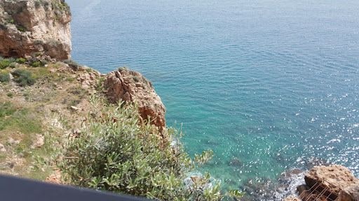 Fotoğraf 14