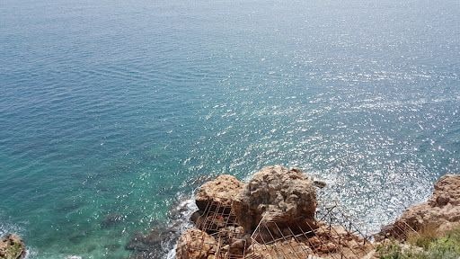 Fotoğraf 15