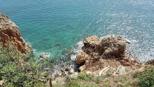Fotoğraf 16