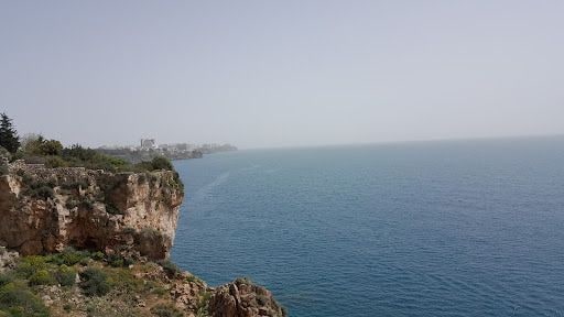 Fotoğraf 17