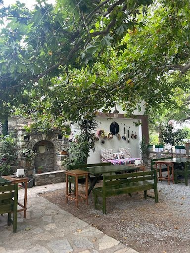 Fotoğraf 26