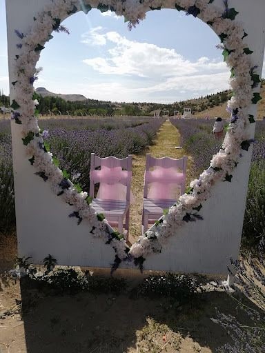 Yorum fotoğrafı 3