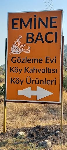 Fotoğraf 25