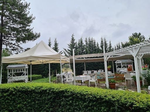 Yorum fotoğrafı 5